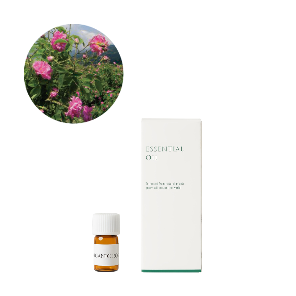 有機ローズ・ダマスク精油/Organic Rose – 生活の木 オンラインストア 有機ローズ・ダマスク精油/Organic Rose – 生活の木 オンラインストア