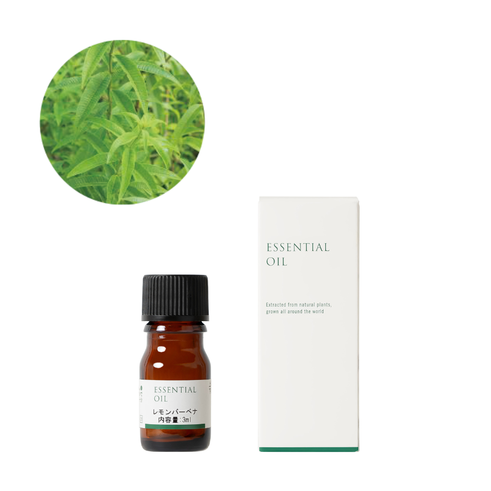レモンバーベナ精油/Lemon verbena – 生活の木 オンラインストア