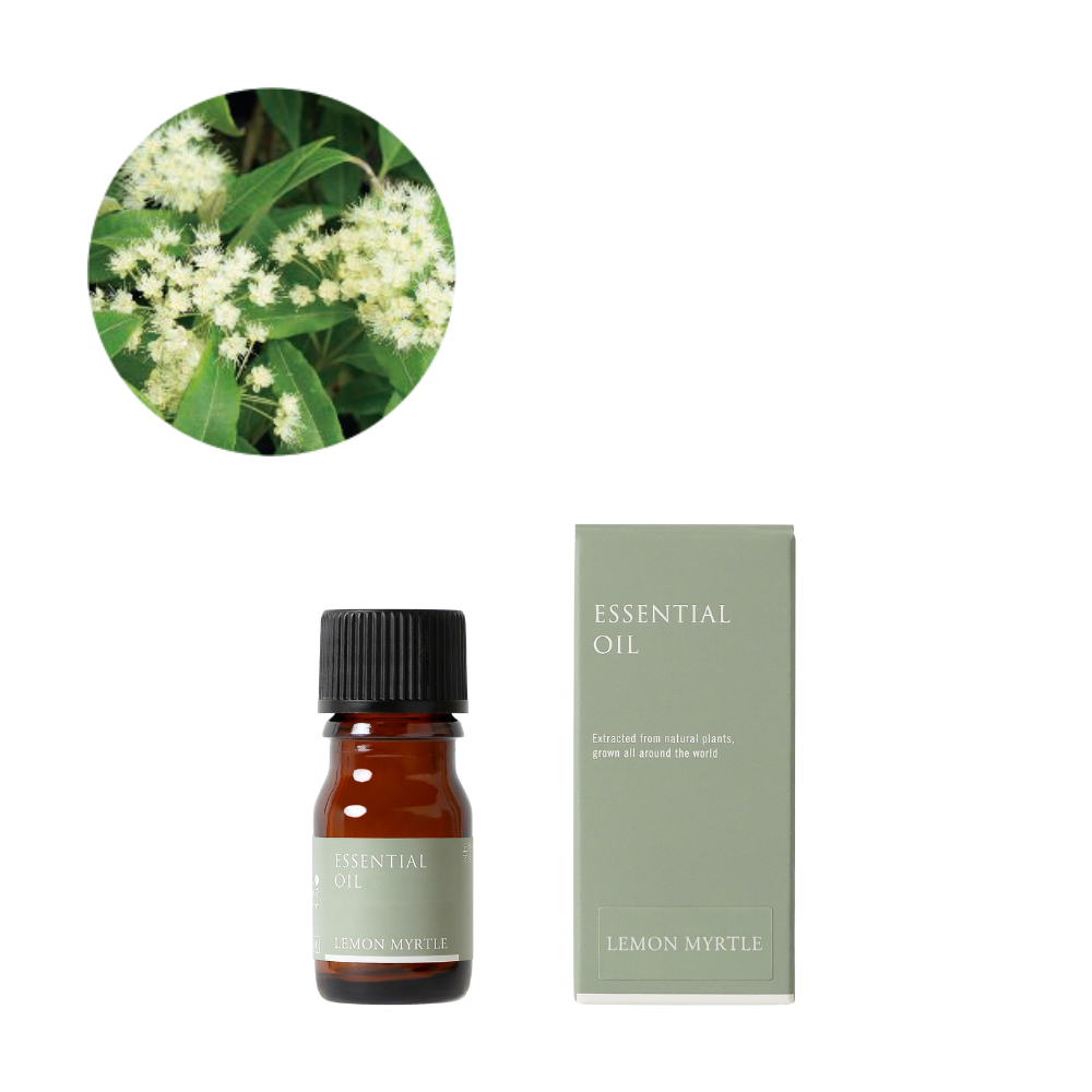 レモンマートル精油/Lemon myrtle – 生活の木 オンラインストア レモンマートル精油/Lemon myrtle – 生活の木 オンラインストア