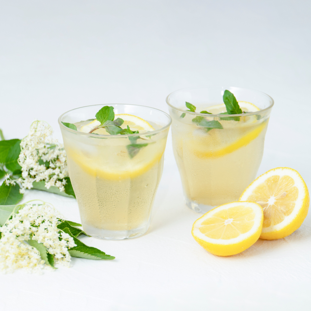 ハーブコーディアル 有機イングリッシュエルダーフラワー/Organic Elder flower 360ml