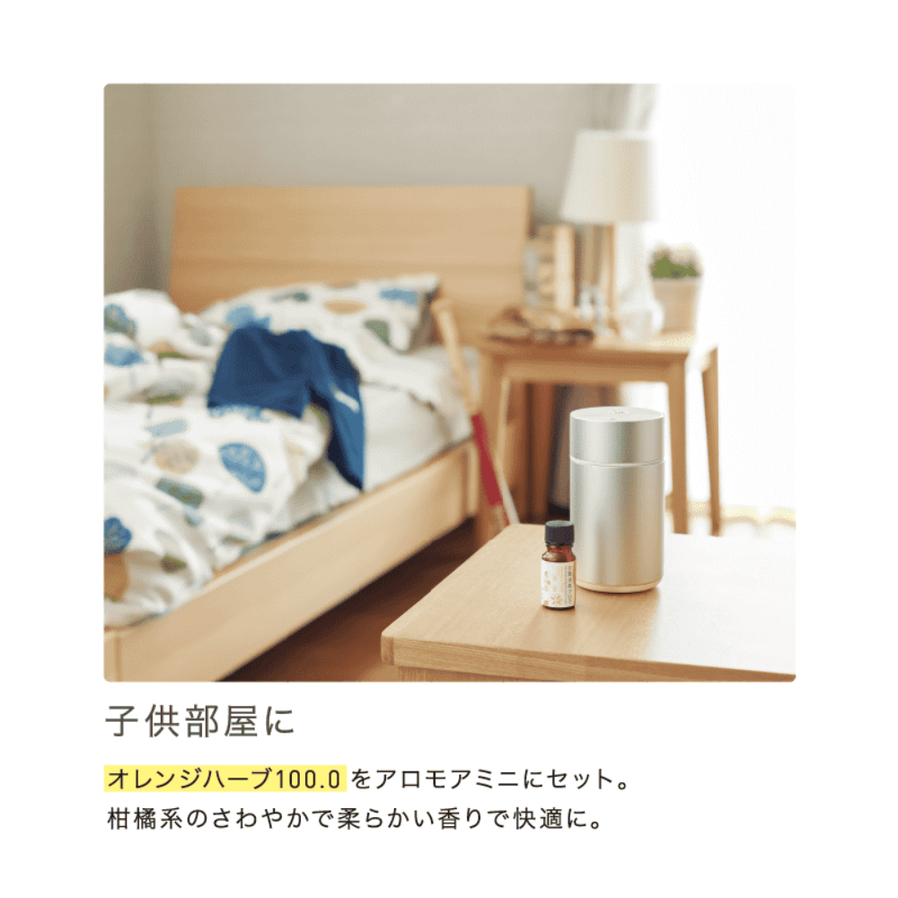 Air deodorizing aroma Orange Herb 100.0