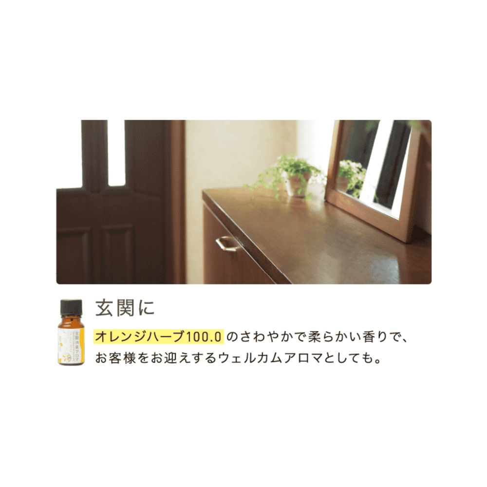 空間消臭アロマ オレンジハーブ100.0 – 生活の木 オンラインストア 空間消臭アロマ オレンジハーブ100.0 – 生活の木 オンラインストア