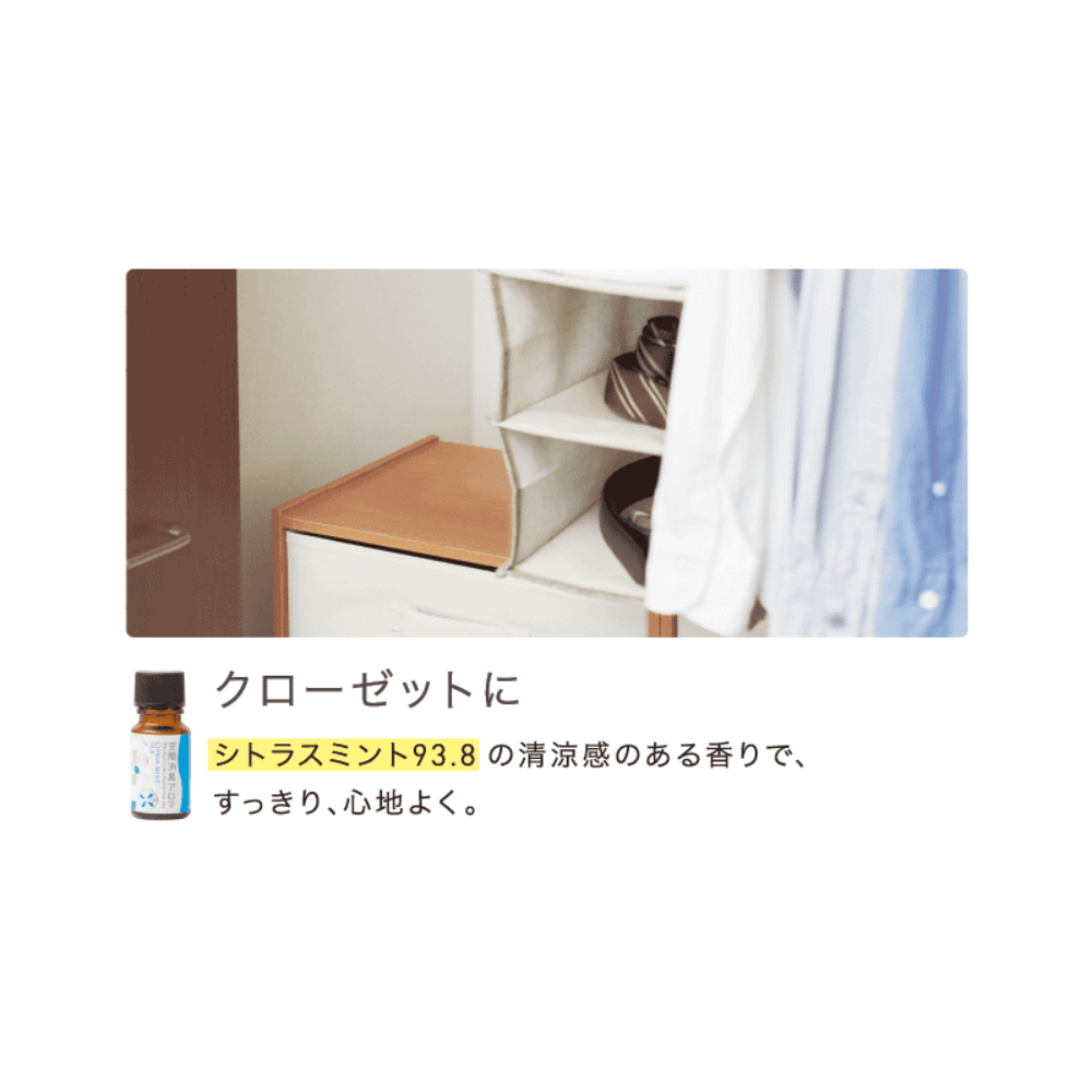 Air Deodorizing Aroma Citrus Mint 93.8