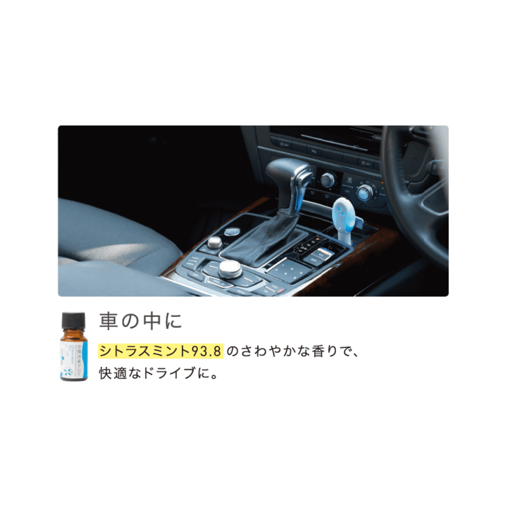 Air Deodorizing Aroma Citrus Mint 93.8