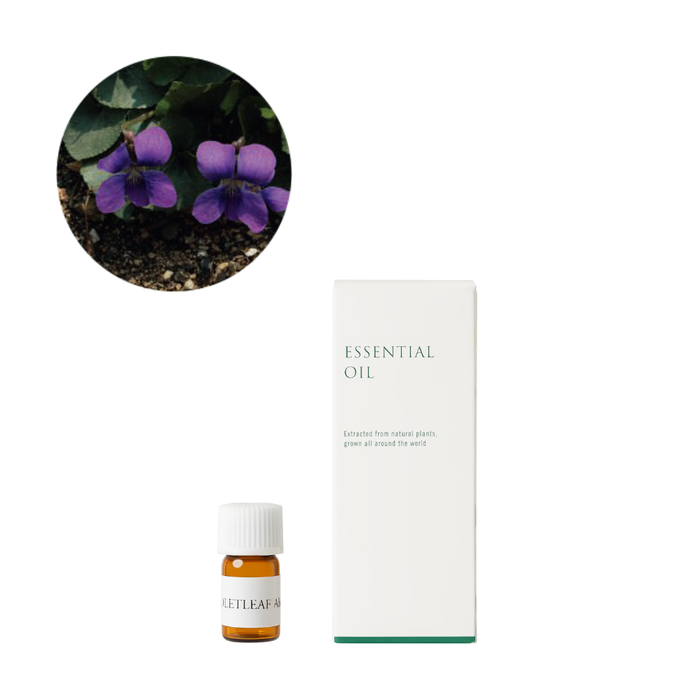 Violet leaf Abs. essential oil