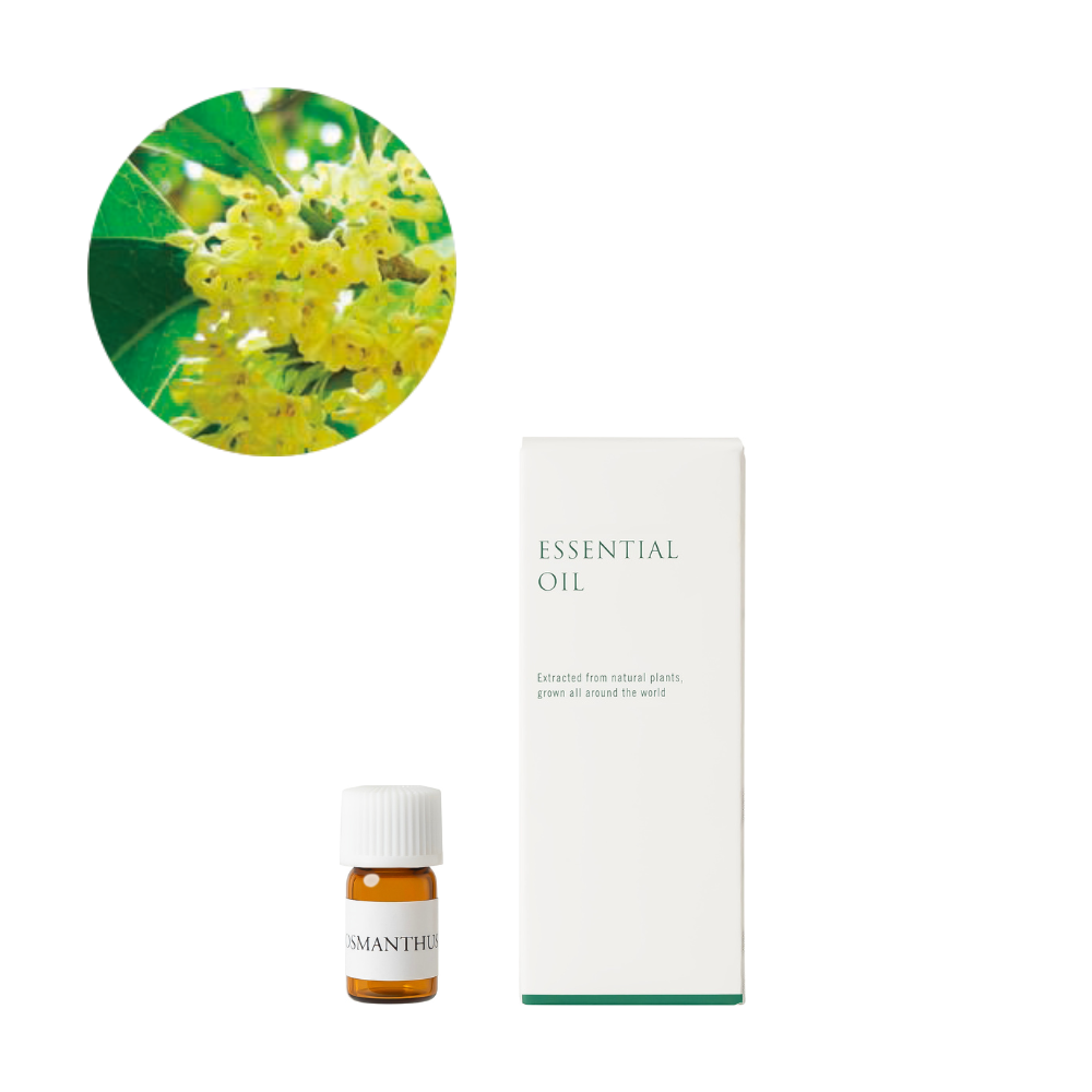 [Autumn Limited Edition] Sweet Osmanthus Essential Oil/Osmanthus