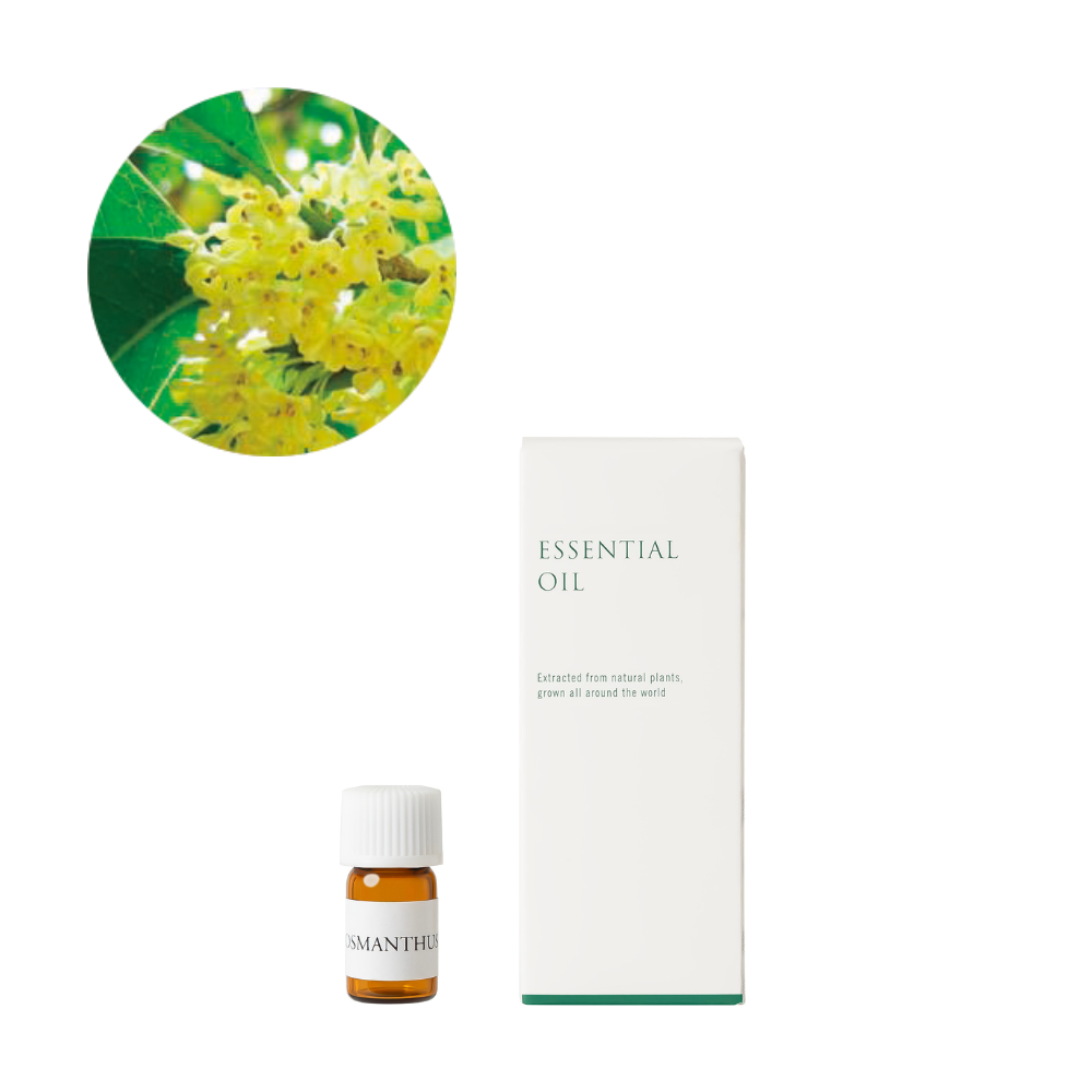 キンモクセイ精油/Osmanthus