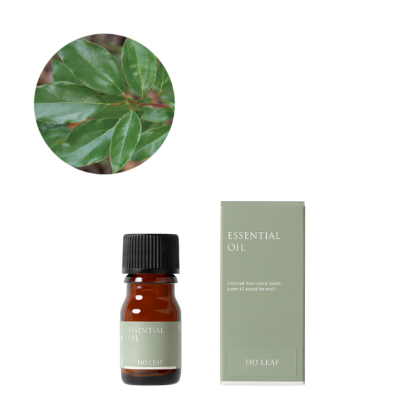 084732570_m_grande.png?v=