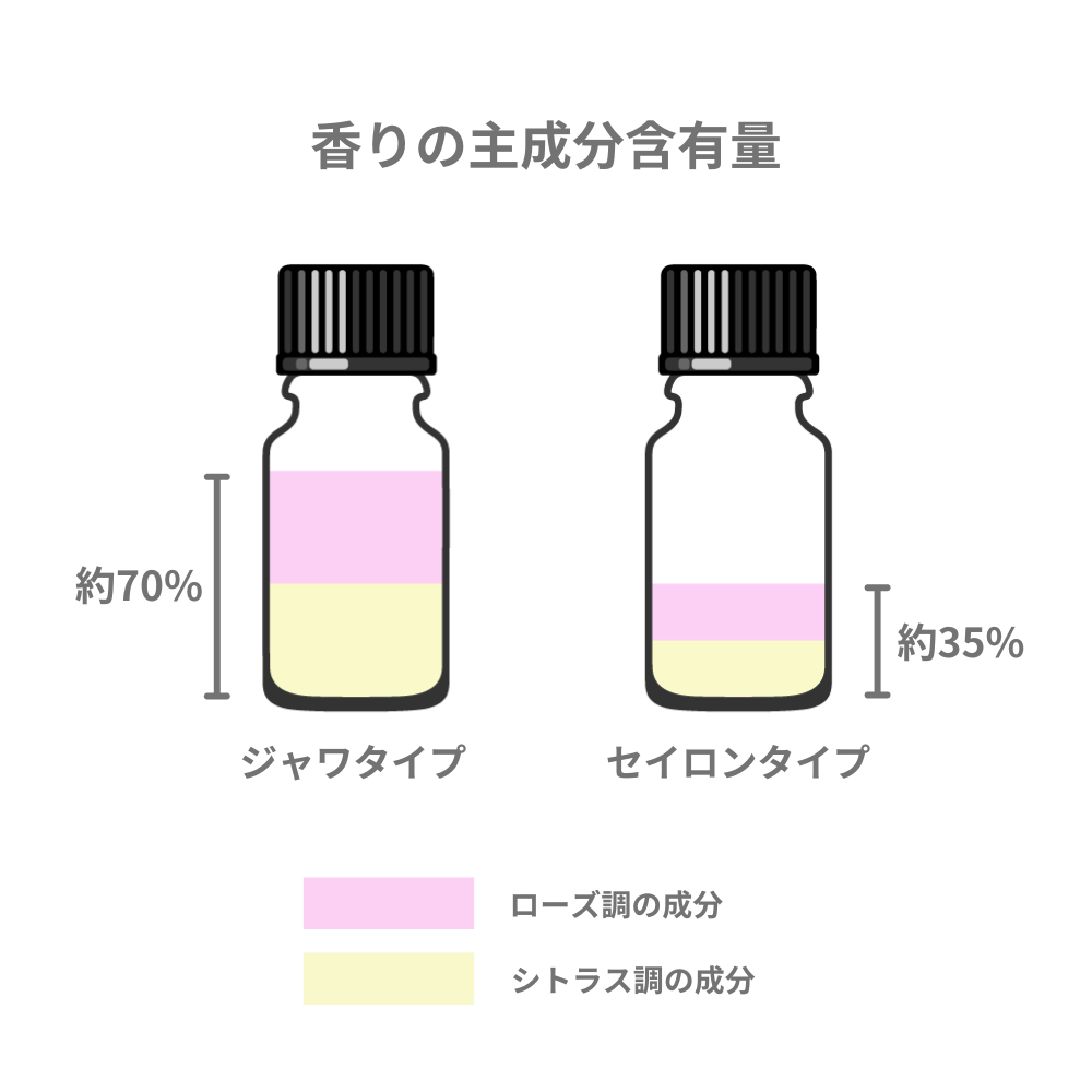 シトロネラ（ジャワ・タイプ）/Citronella