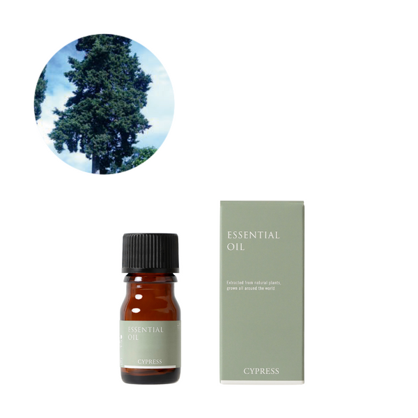 サイプレス精油/Cypress – 生活の木 オンラインストア サイプレス精油/Cypress – 生活の木 オンラインストア