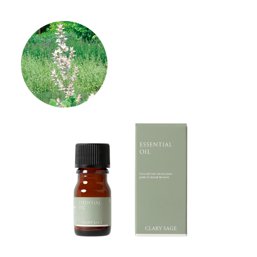 クラリセージ精油/Clary sage