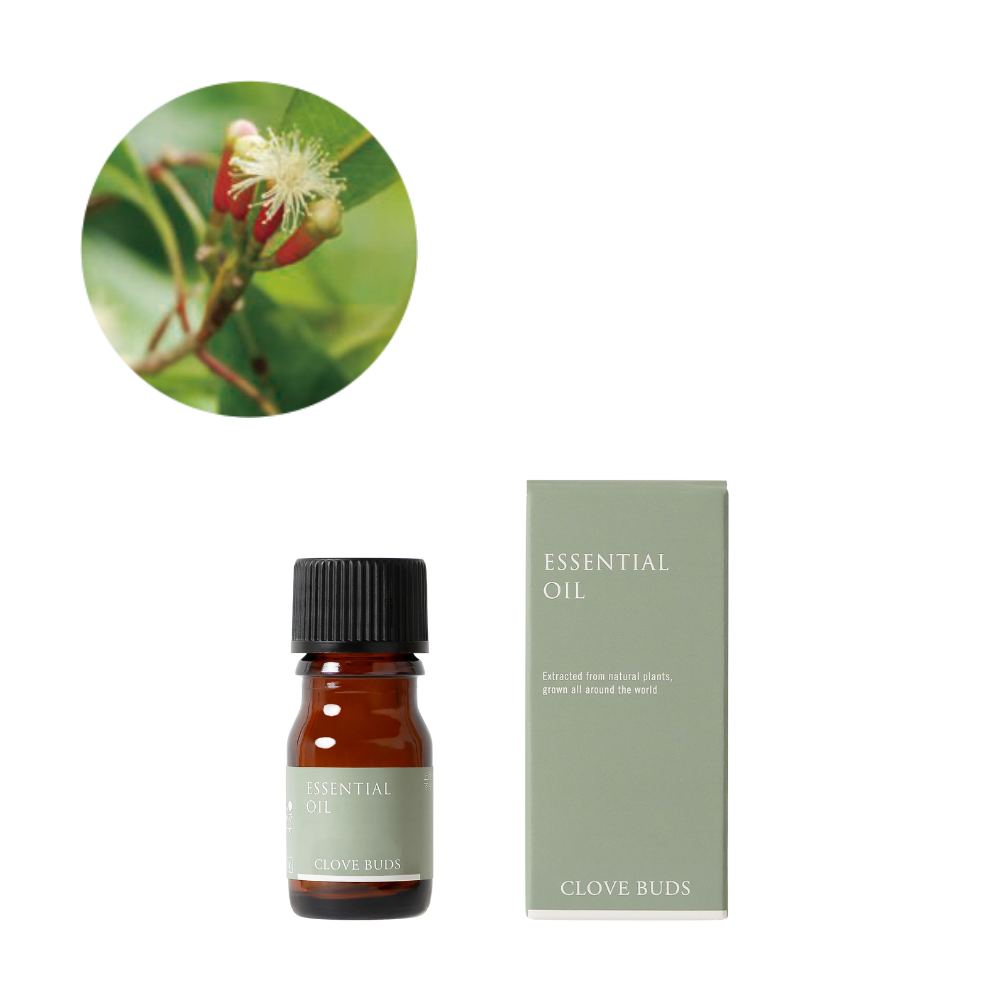 クローブ精油/Clove buds