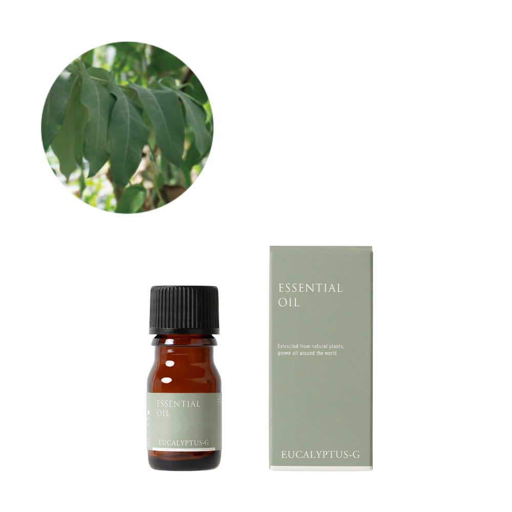 Eucalyptus globulus essential oil