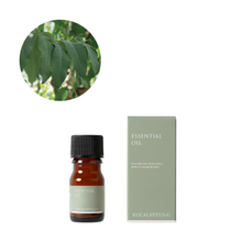 ユーカリグロブルス 50ml 生活の木　3個セット ユーカリ・グロブルス精油/Eucalyptus globulus – 生活の木 オンライン