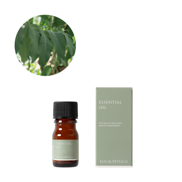 ユーカリ・グロブルス精油/Eucalyptus globulus – 生活の木 オンライン ユーカリ・グロブルス精油/Eucalyptus globulus – 生活の木 オンライン