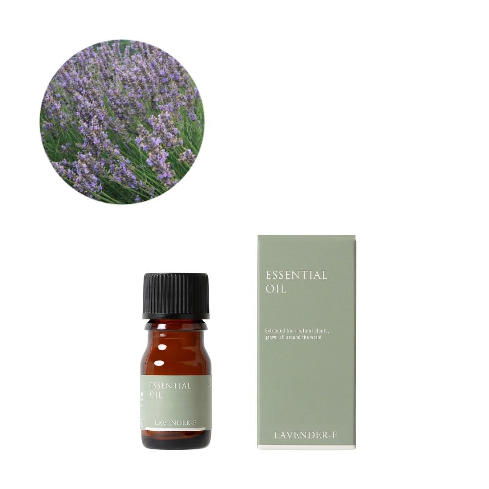 Lavender France (true lavender) essential oil