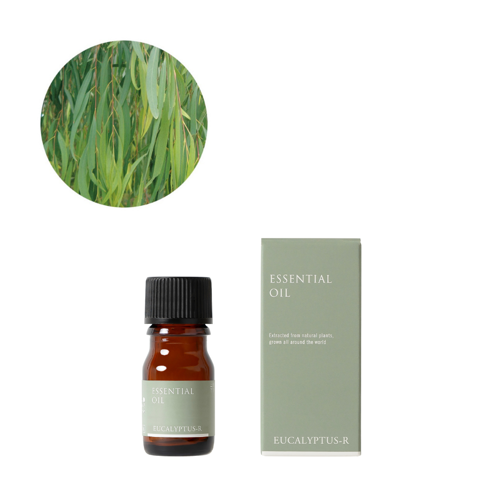 Eucalyptus radiata essential oil
