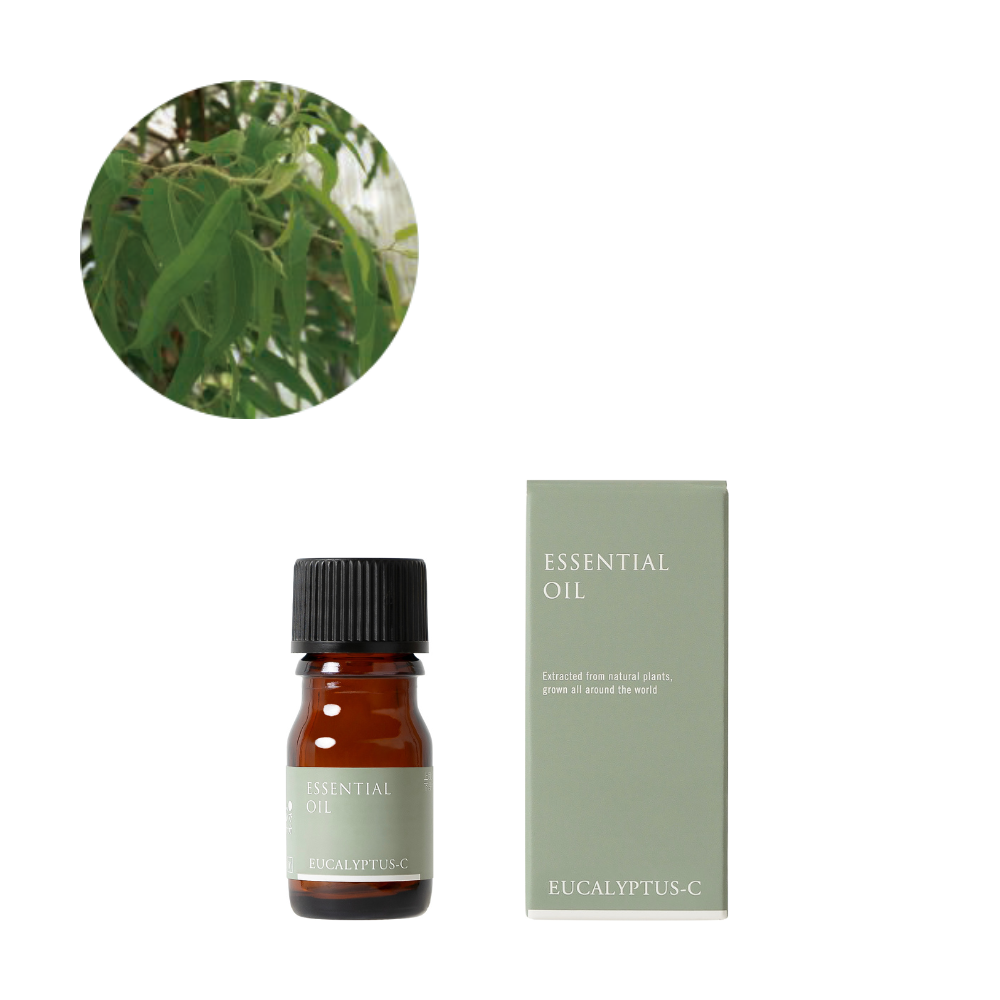 Eucalyptus citriodora (lemon eucalyptus) essential oil