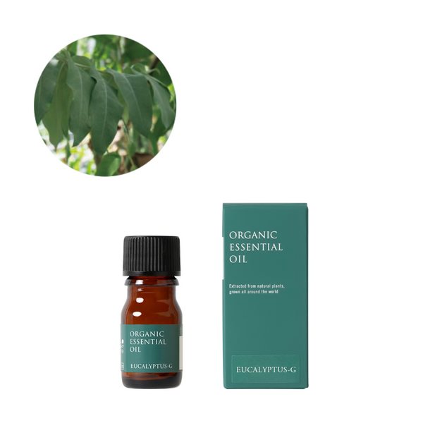 有機ユーカリ・グロブルス精油/Organic Eucalyptus globulus – 生活の