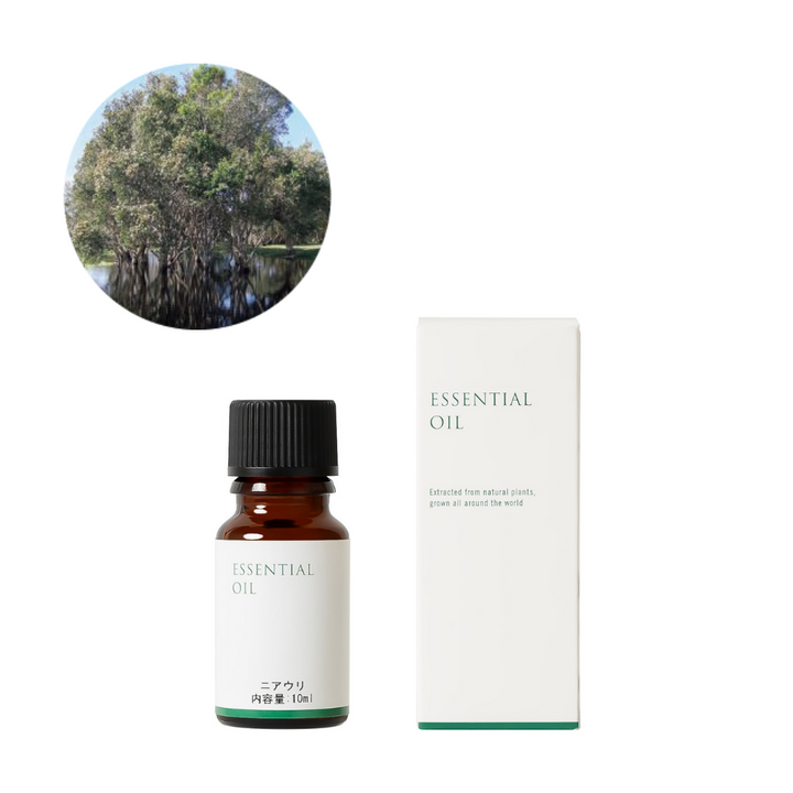 Niaouli Essential Oil