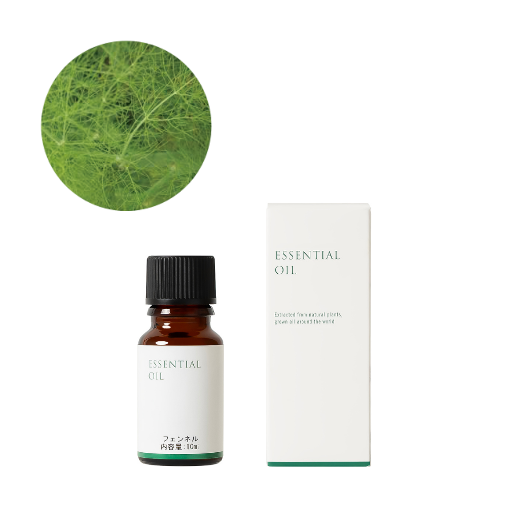 Fennel essential oil