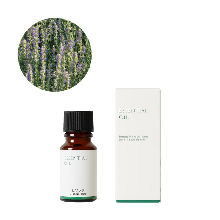 Hyssop essential oil