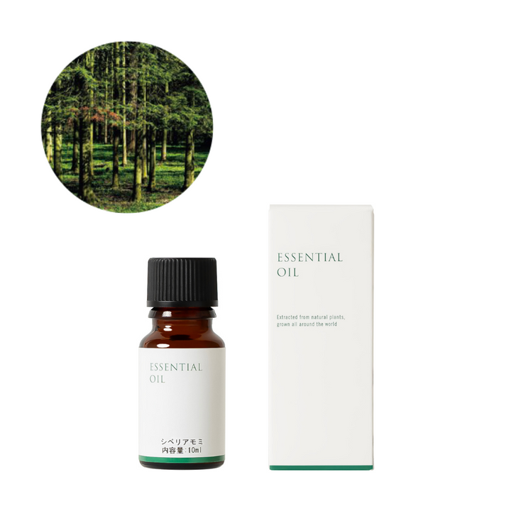 Siberian fir essential oil