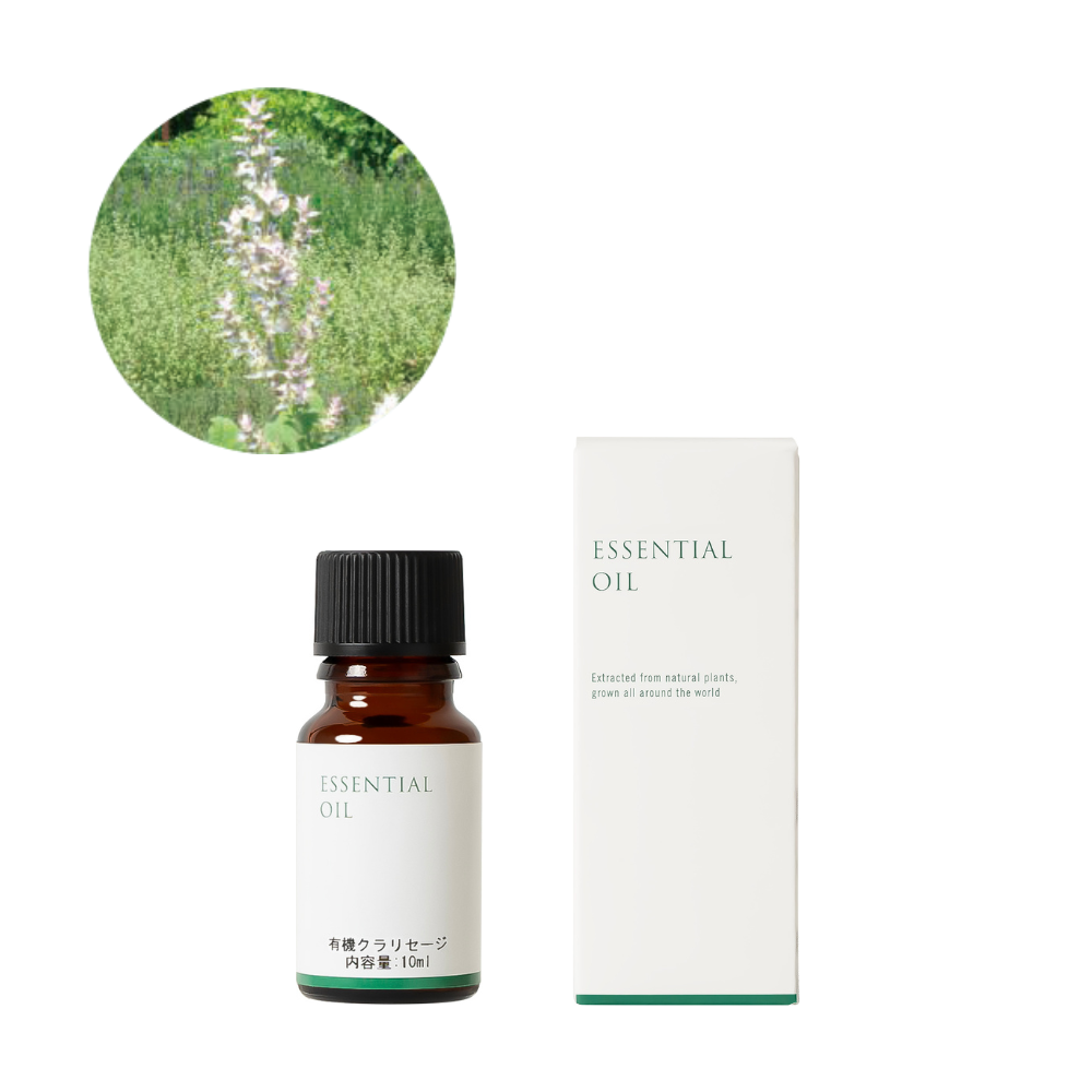 有機クラリセージ精油/Organic Clary sage – 生活の木 オンラインストア