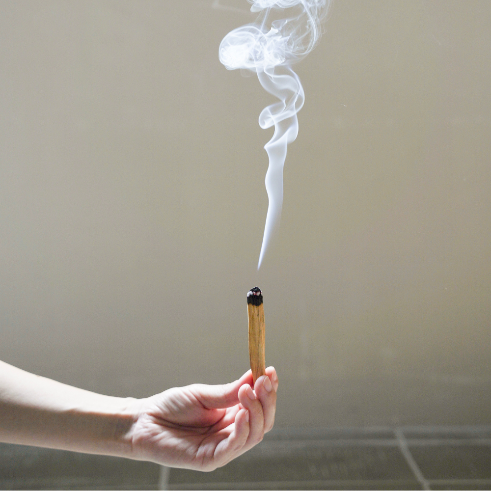 インセンス パロサントスティック 5本入 – 生活の木 オンラインストア インセンス パロサントスティック 5本入 – 生活の木 オンラインストア