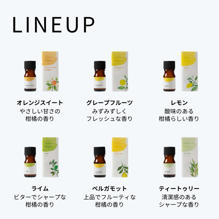 Set of 12 essential oils (5ml x 12 types)