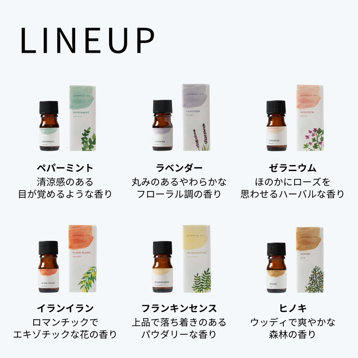 Set of 12 essential oils (5ml x 12 types)