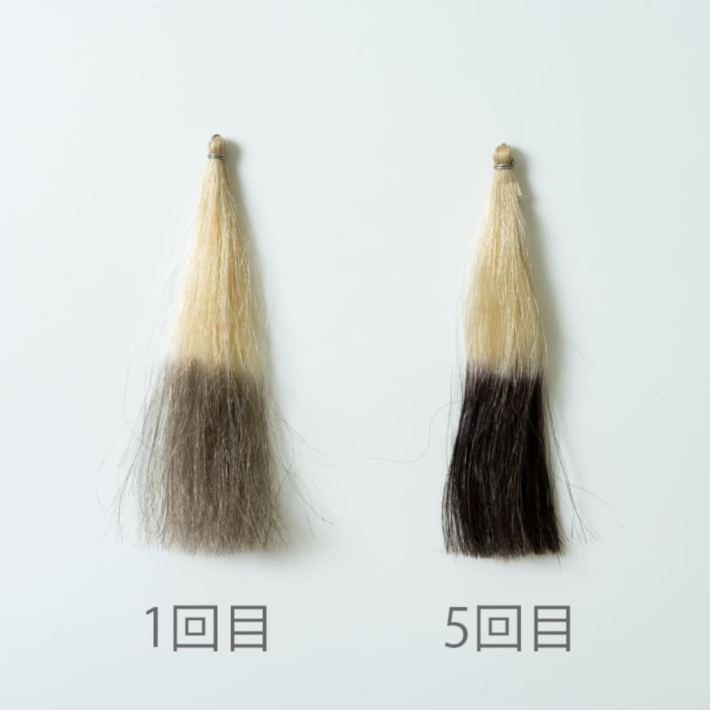 定期購入】ヘアカラーブースターシャンプー&トリートメントナチュラル 定期購入】ヘアカラーブースターシャンプー&トリートメントナチュラル