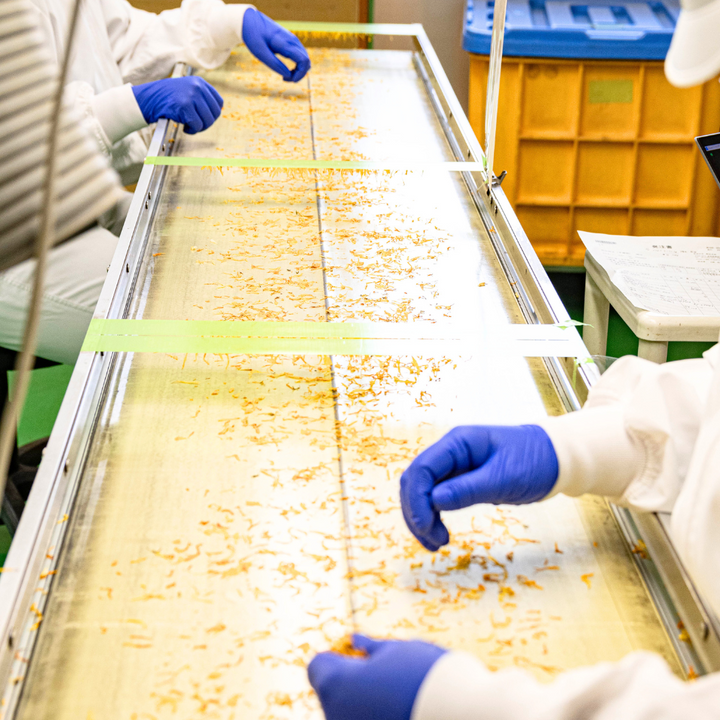 【予約受付中】工場見学＆ワークショップ体験 in瑞浪ファクトリー