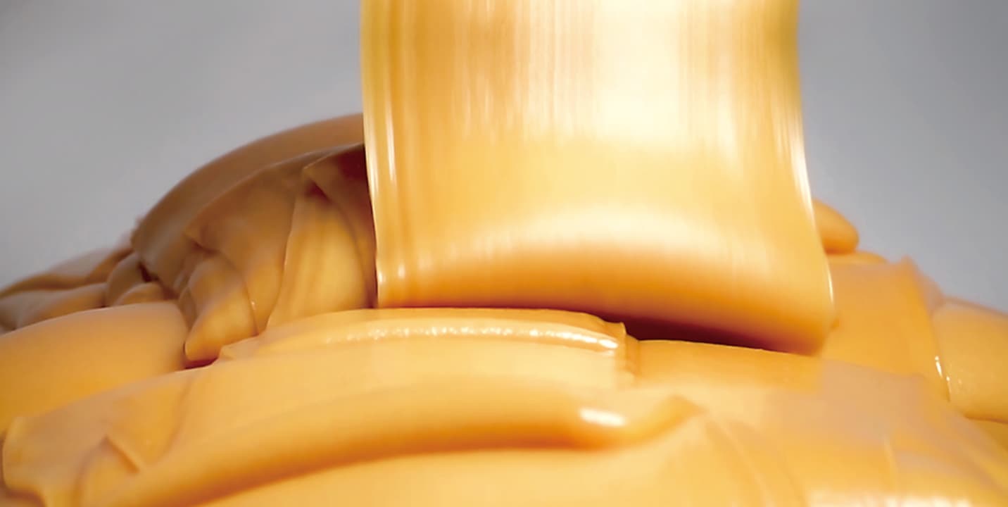 生活の木 オンラインストア