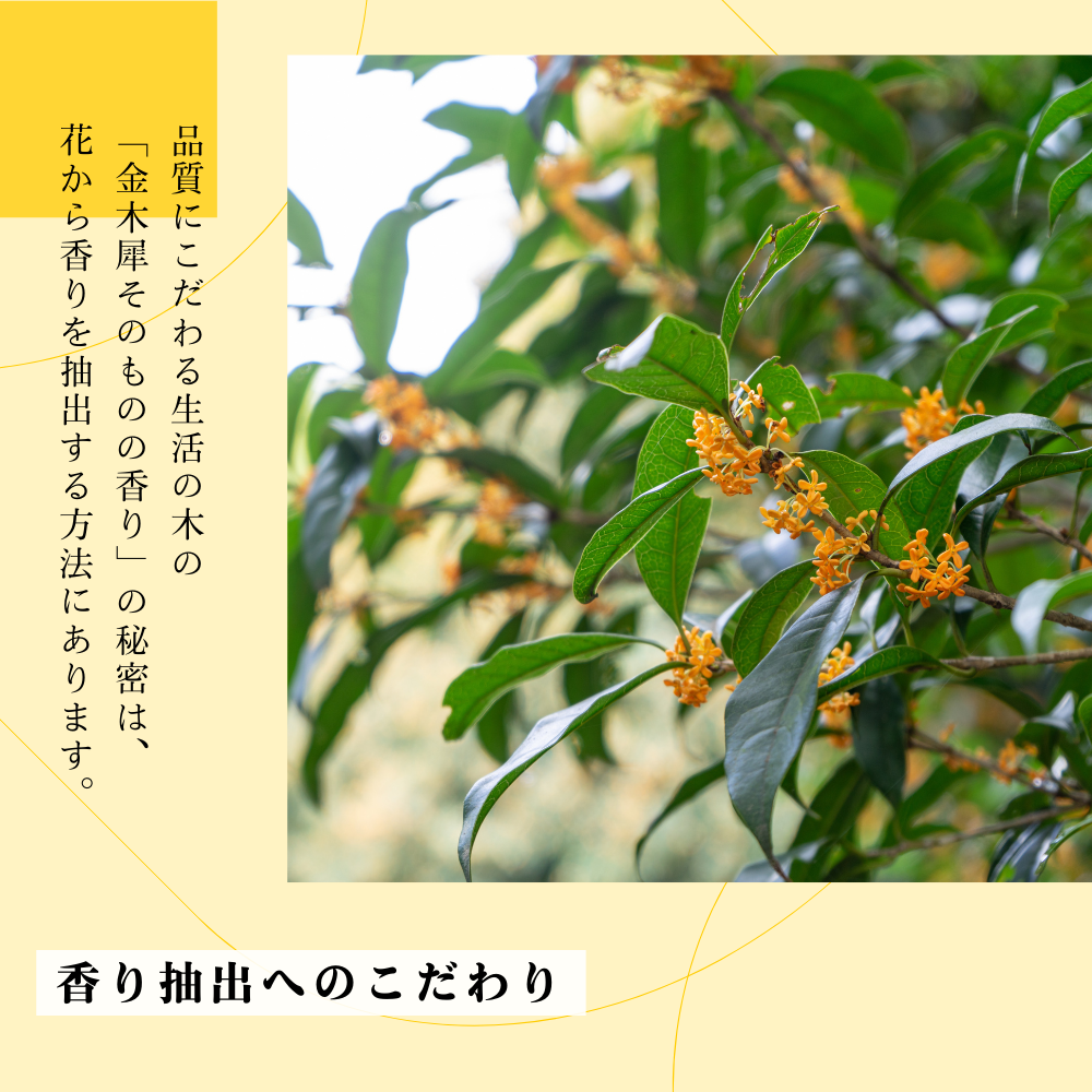 金木犀 ブレンド精油10ml&アロモアミニ ポータブルウッドセット 金木犀 ブレンド精油10ml&アロモアミニ ポータブルウッドセット