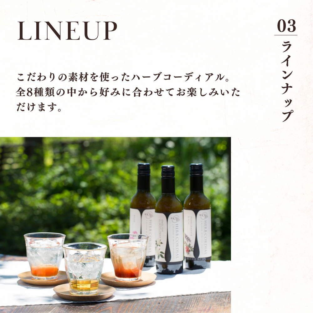 ハーブコーディアル 有機エキナセアオレンジ/Organic Echinacea Orange 360ml