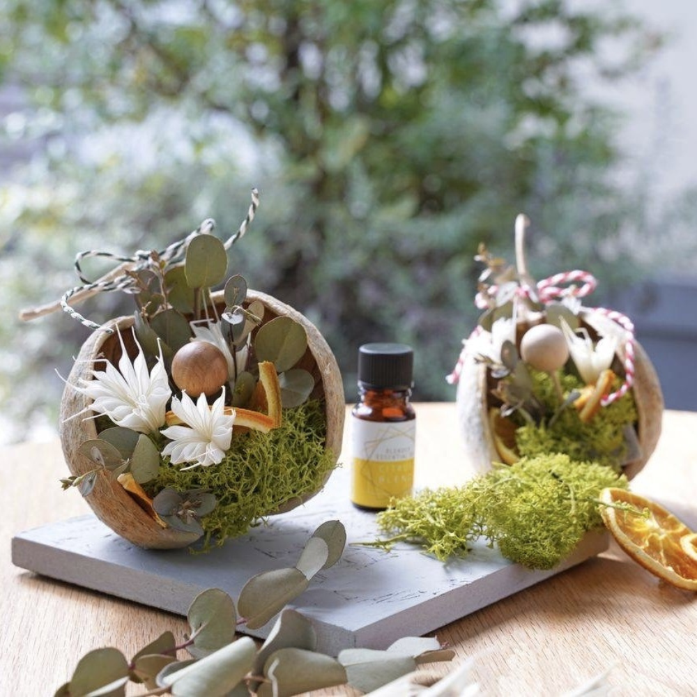 【ミライ創ろまい課】 ブッダナッツ@瑞浪ファクトリー五感謝祭