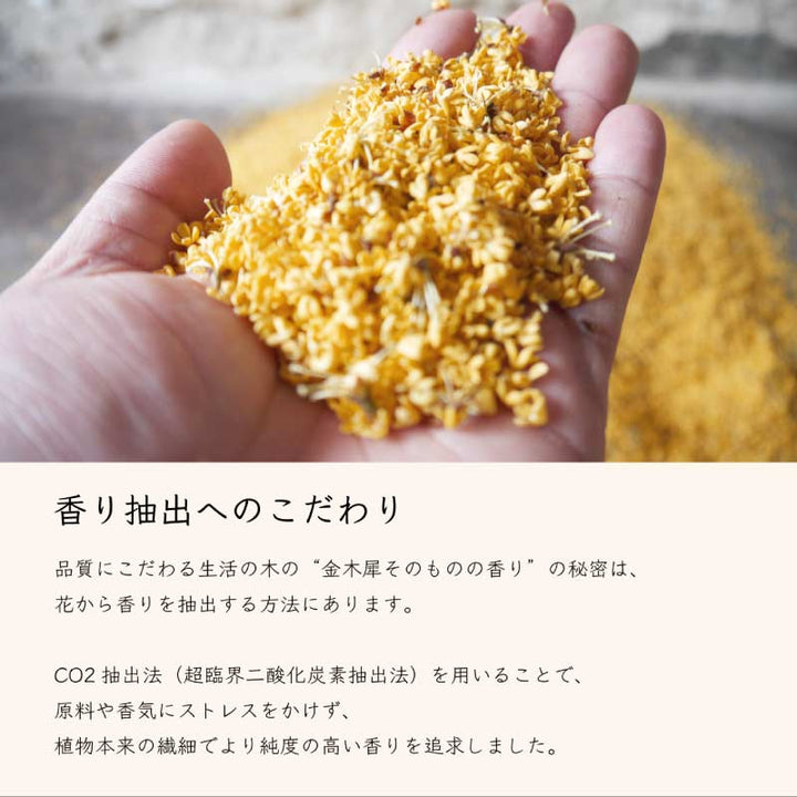 [Year-round product] Kinmokusei Hand Wash 300ml 