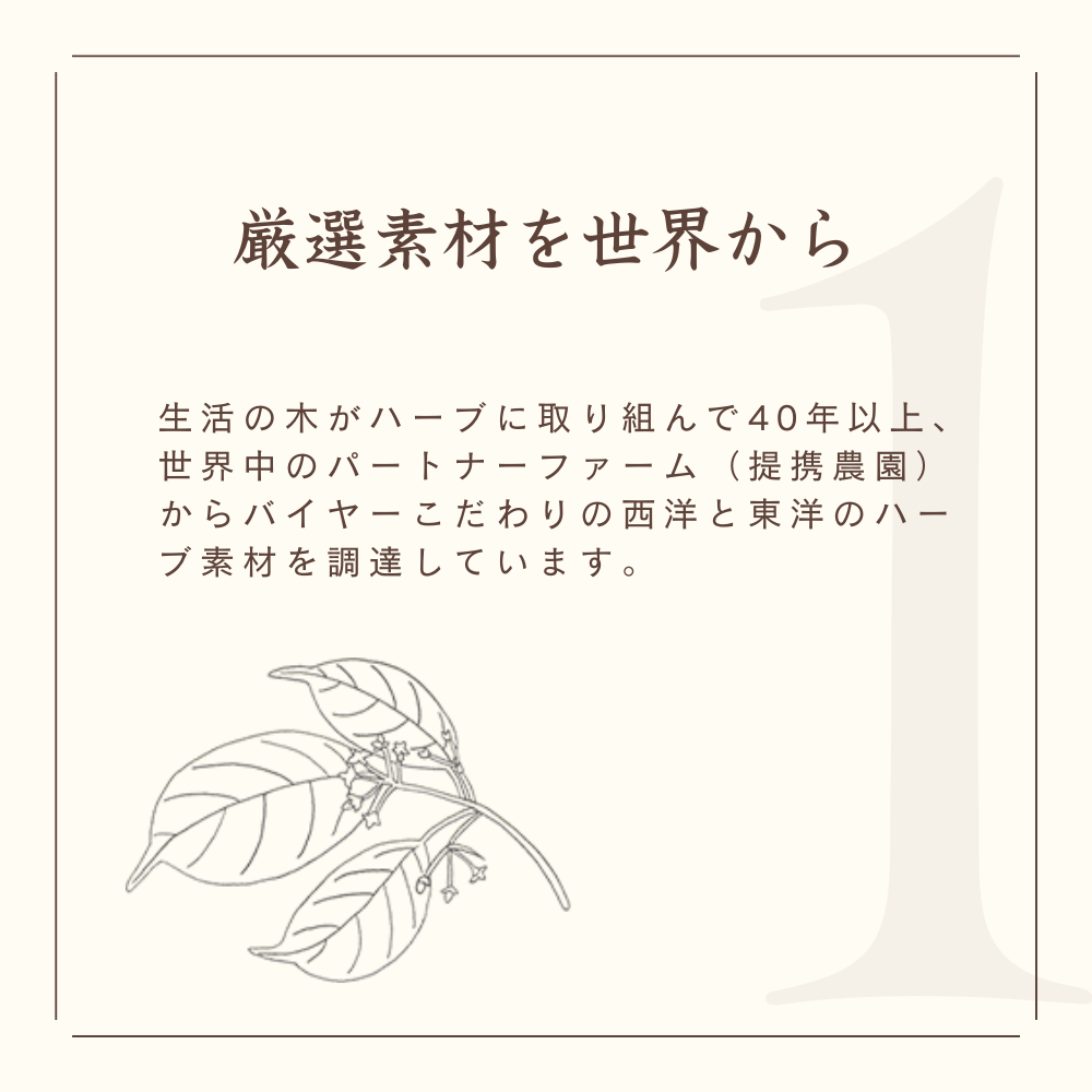 My 30 Day Tea Korean Ginseng Strength Blend Tea Bags