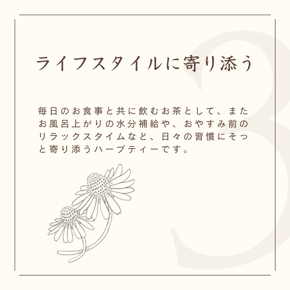 私の30日茶 蒼のメグスリノキブレンド ティーバッグ