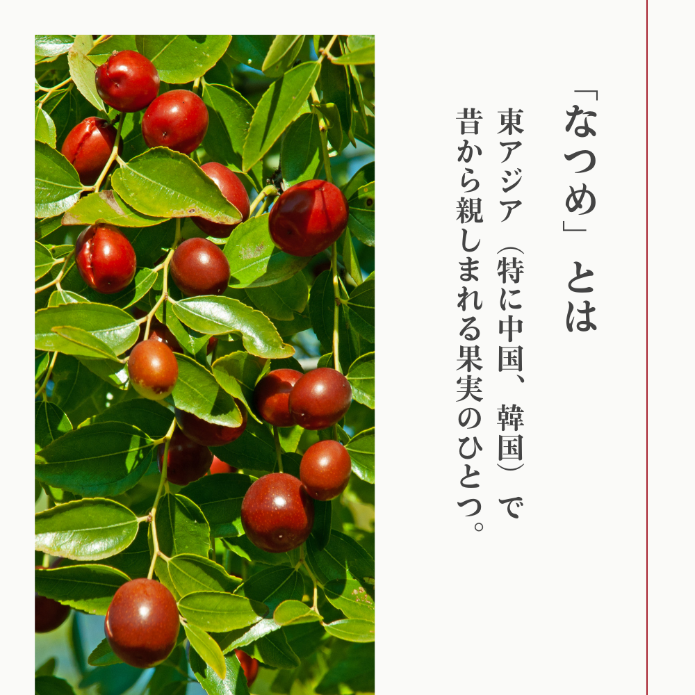 なつめのおやつ そのままなつめ 40g